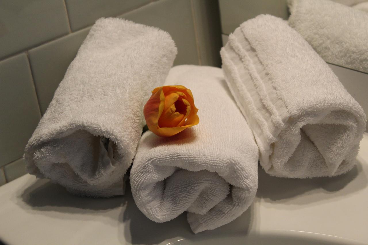 Hotel Salus 萨利切温泉 外观 照片